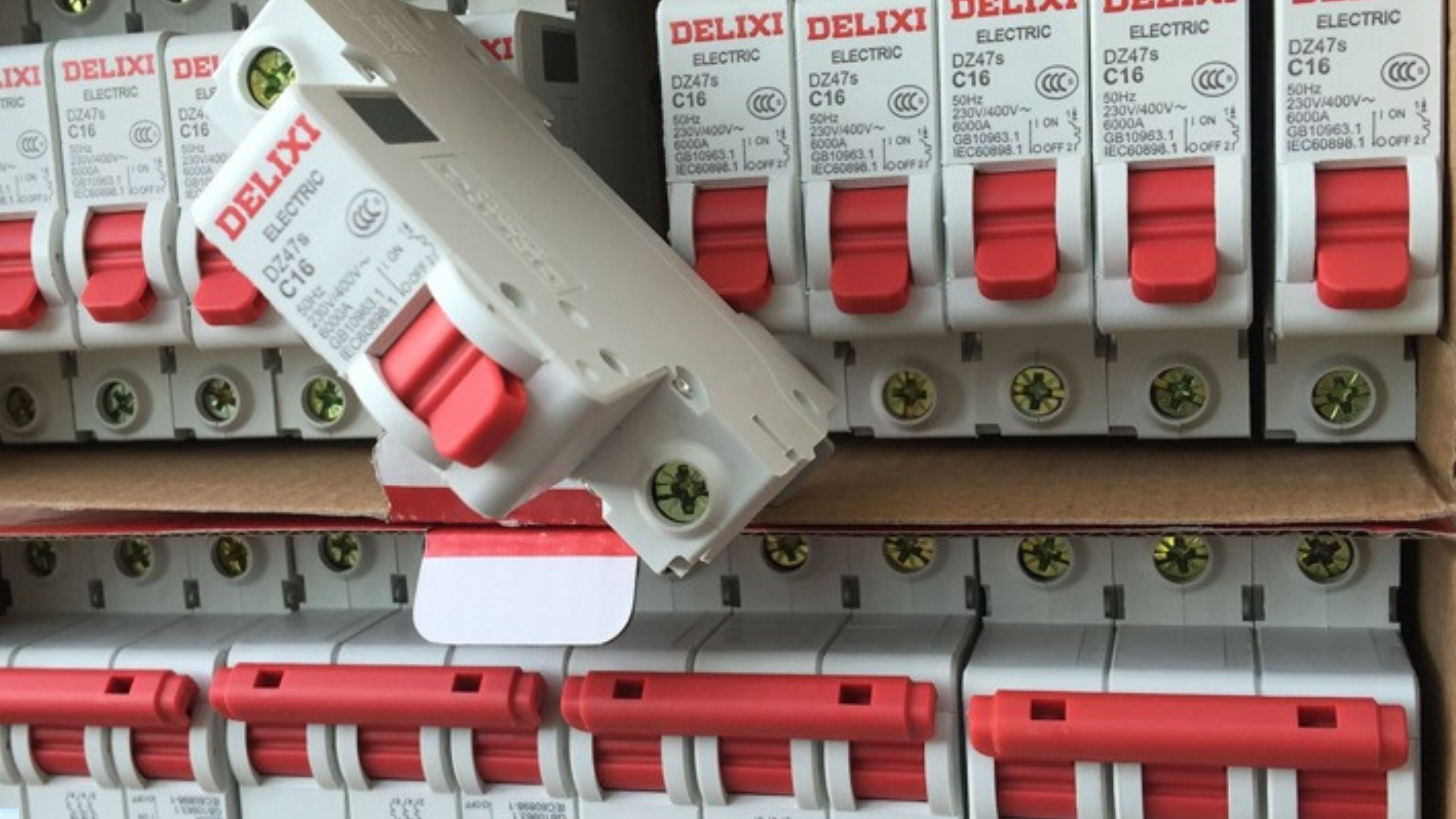 Delixi MCB’s and lightning arrestors.